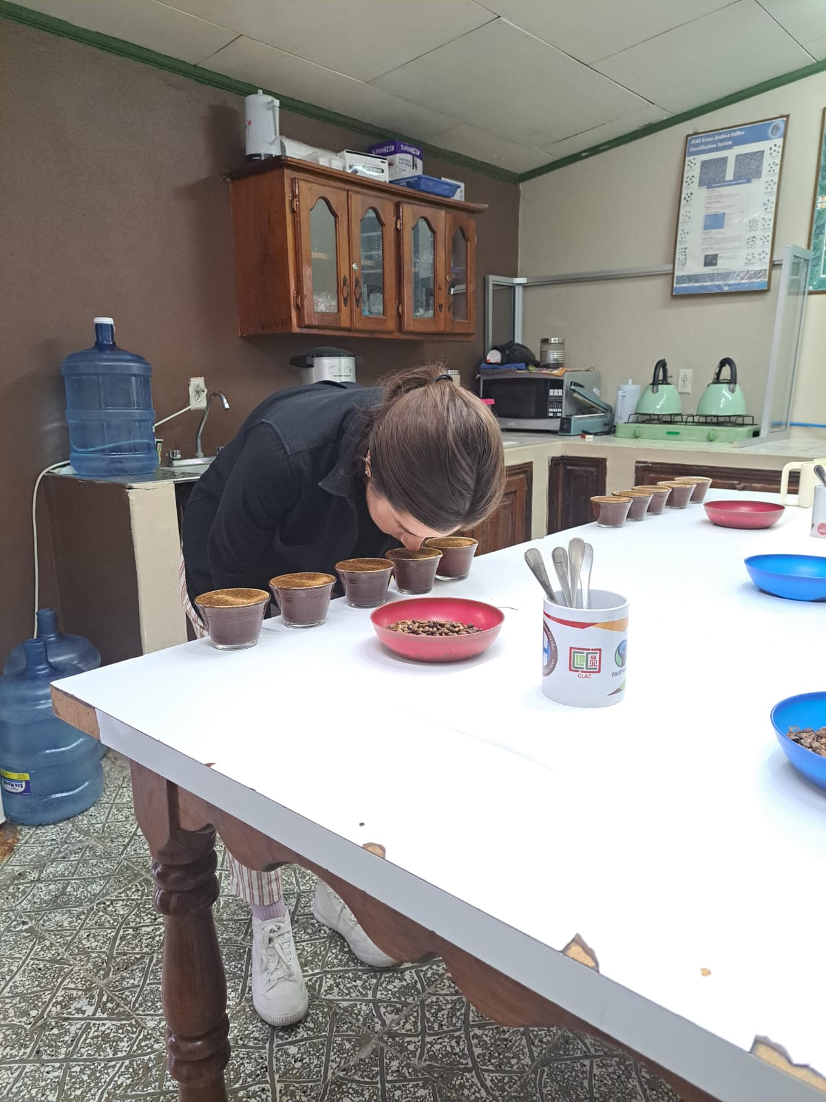 Catador comprobando el punto de tueste de una muestra