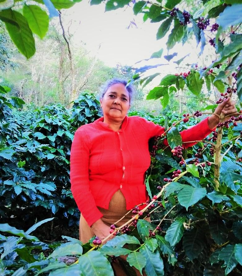Iris Suyapa Corrales, productora de COCASAM