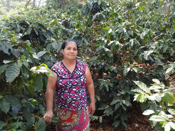 Zoila Moncada, productora de COCASAM
