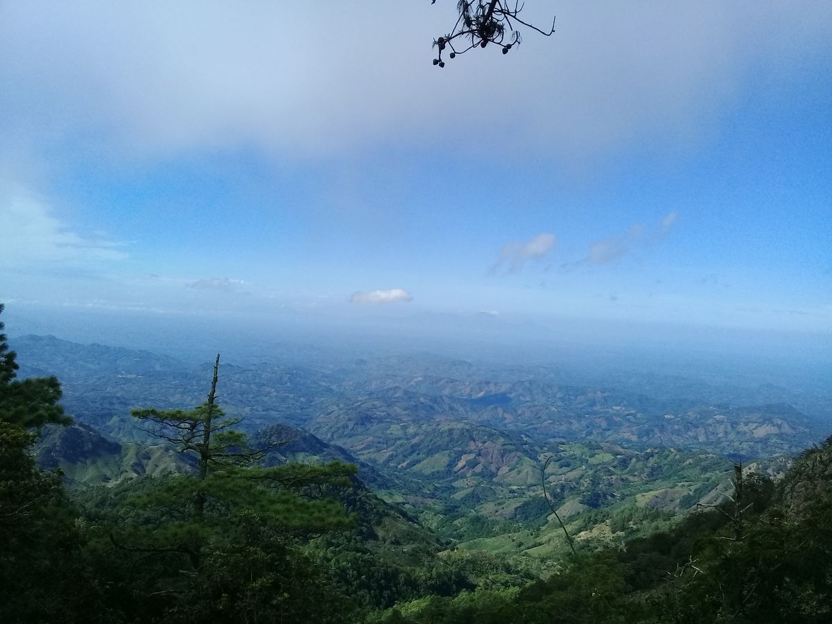 Mapa o vista del área protegida