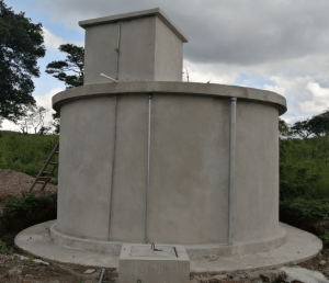 Proyectos